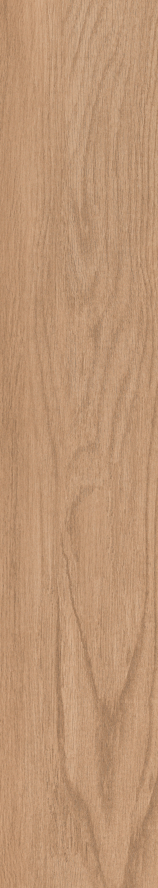 1057 Torino Brown Mate 120x20 Artcer