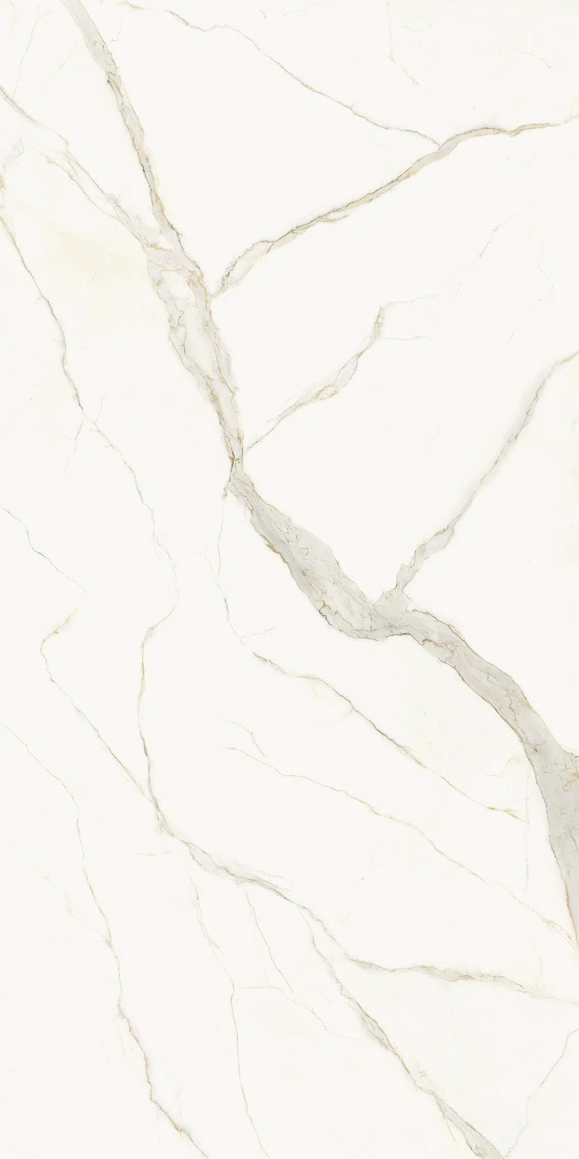 LAMFFM0100_IT I Naturali Calacatta Michelangelo Lucidato B.M. Face B 1620x3240x20.5 Laminam