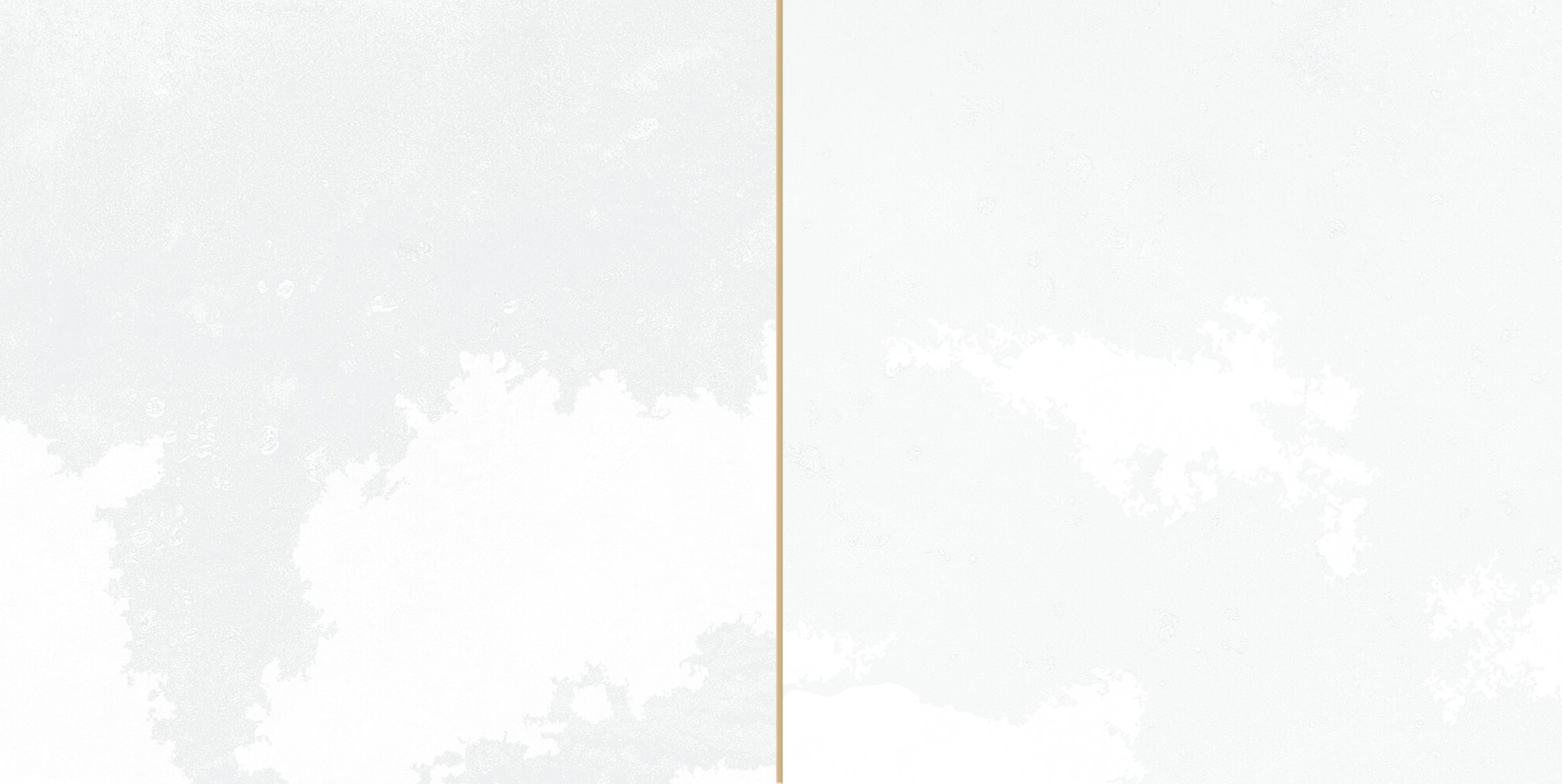 30896 FS Tradition Square White 20x40 Peronda фото 14