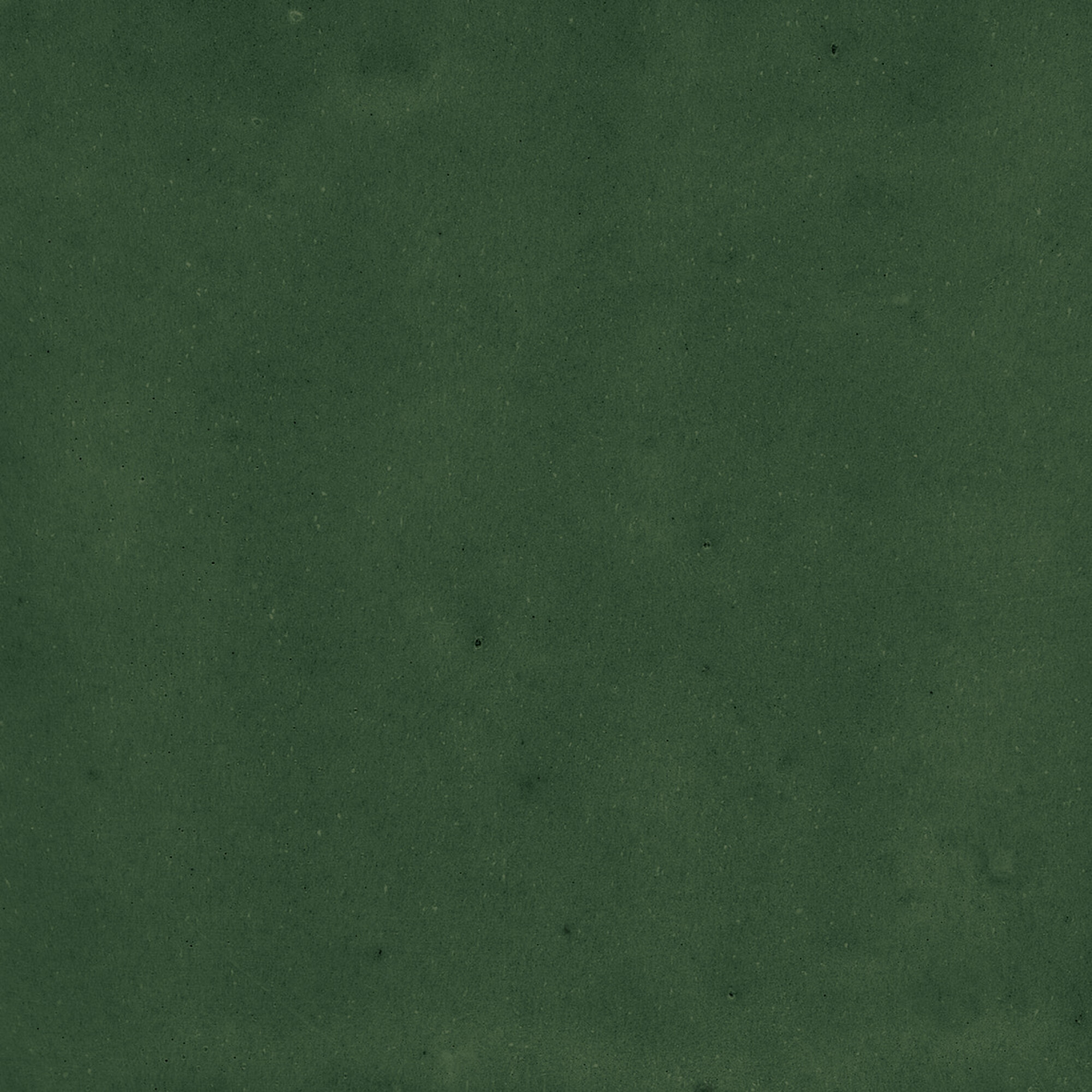 43289 Samira Green 10x10 Harmony фото 47