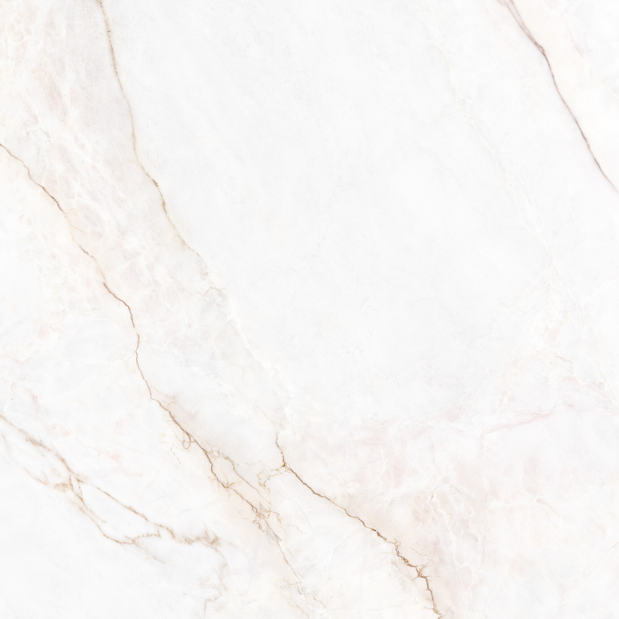 41431 Dahlia White SP/100X100X0,8/R 100x100 Peronda фото 14