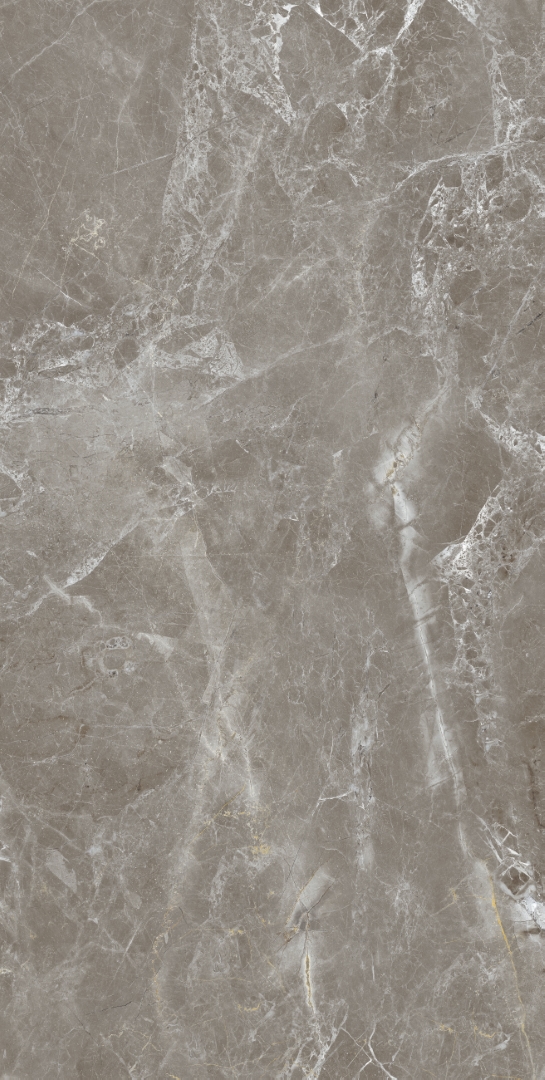 Zanetta Graphite Glossy 60x120 Modern Tile