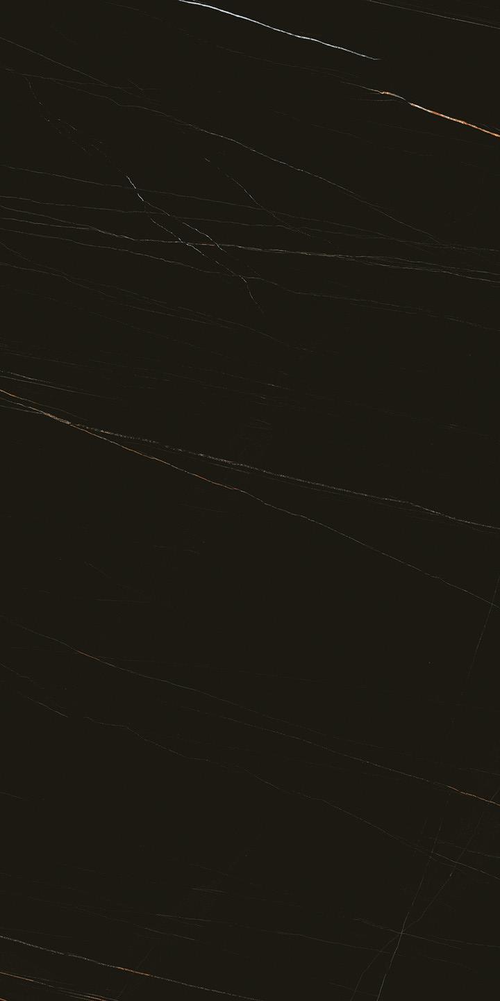752804 Stones 2.0 Sahara Noir Glossy Ret 6mm 60x120 Casa Dolce Casa