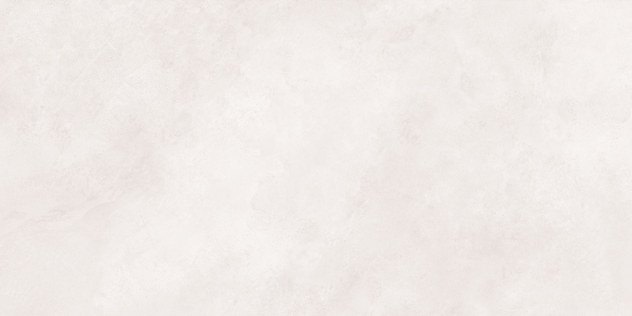 N20479 Newport White Matt 60x120 Neodom