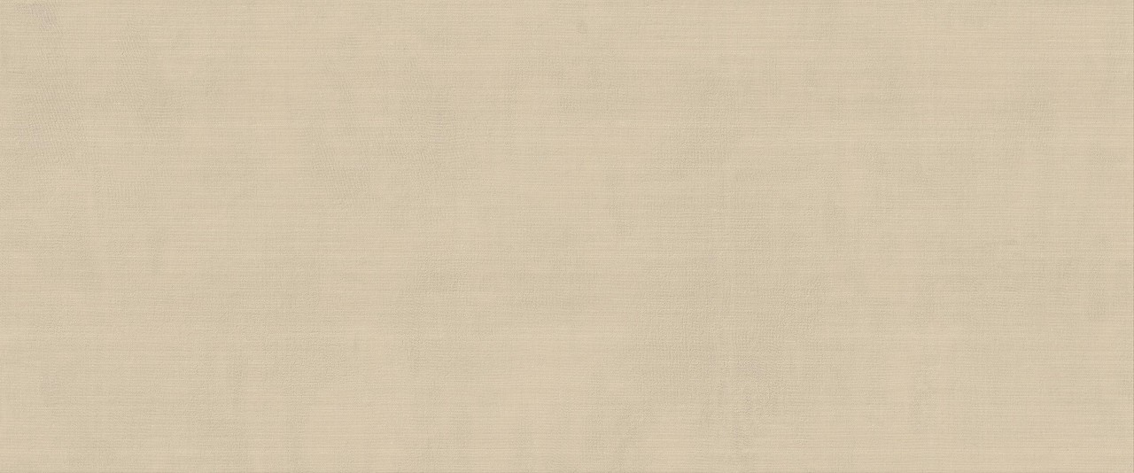 HCDR Vest Ecru Matt 50x120 Atlas Concorde фото 2