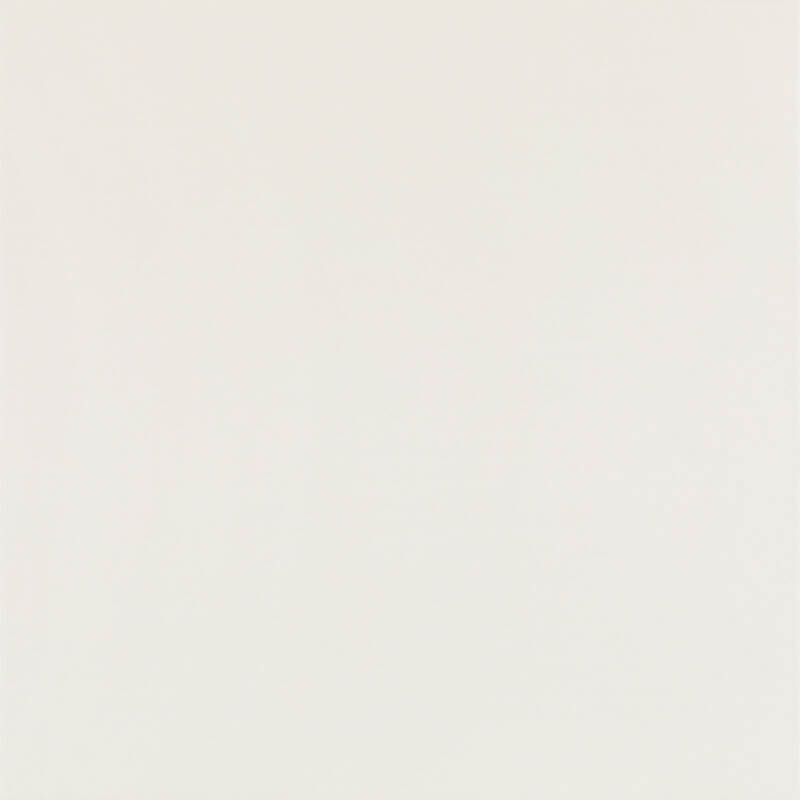 Elegant Surface Bianco Gres Rekt Mat 59.8x59.8 Paradyz