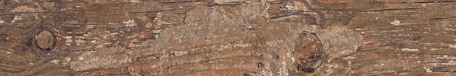 Kiwi Redroot Mat 20x120 Alpas Euro