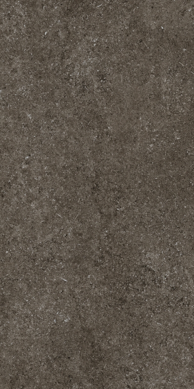 768327 Sensi Brown Fossil Ret 60x120 Casa Dolce Casa