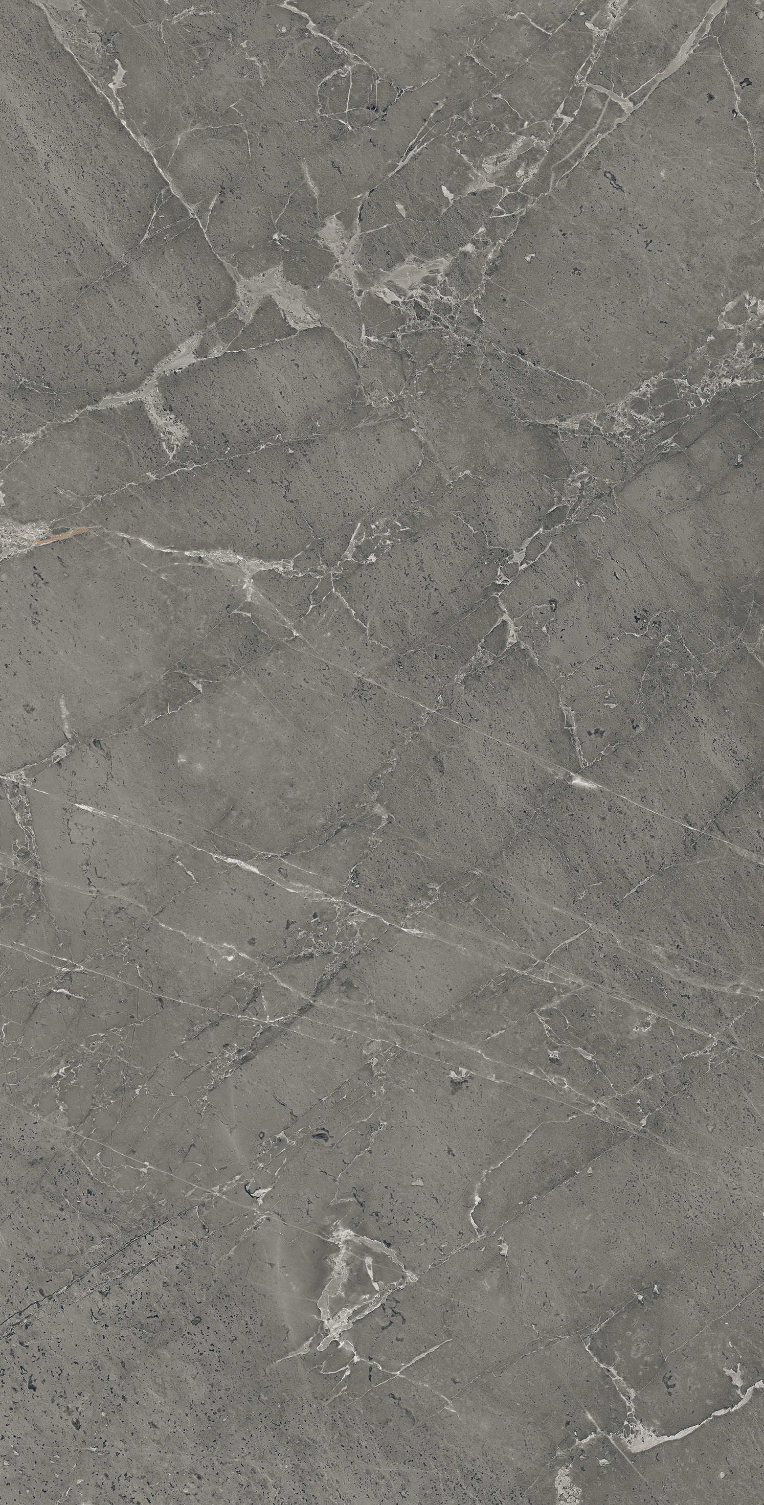 SI1002-A Anthor Grey Sugar Ink 60x120 Creanza фото 4
