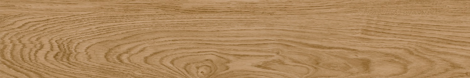 Tundra Natural 20x120 New Tiles