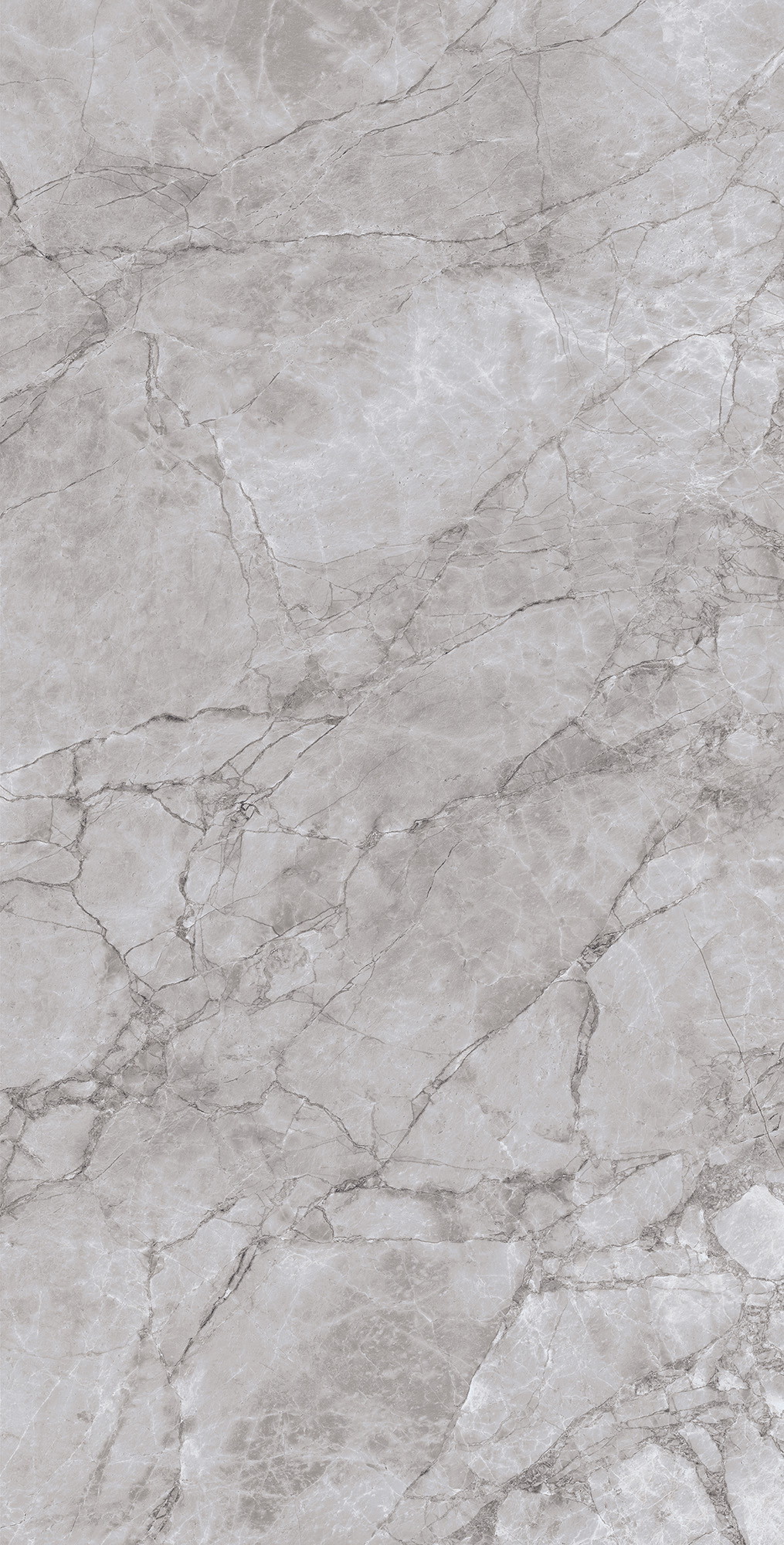 CL4005-A Arctic Grey Carving Lappato 60x120 Arcadia Ceramica