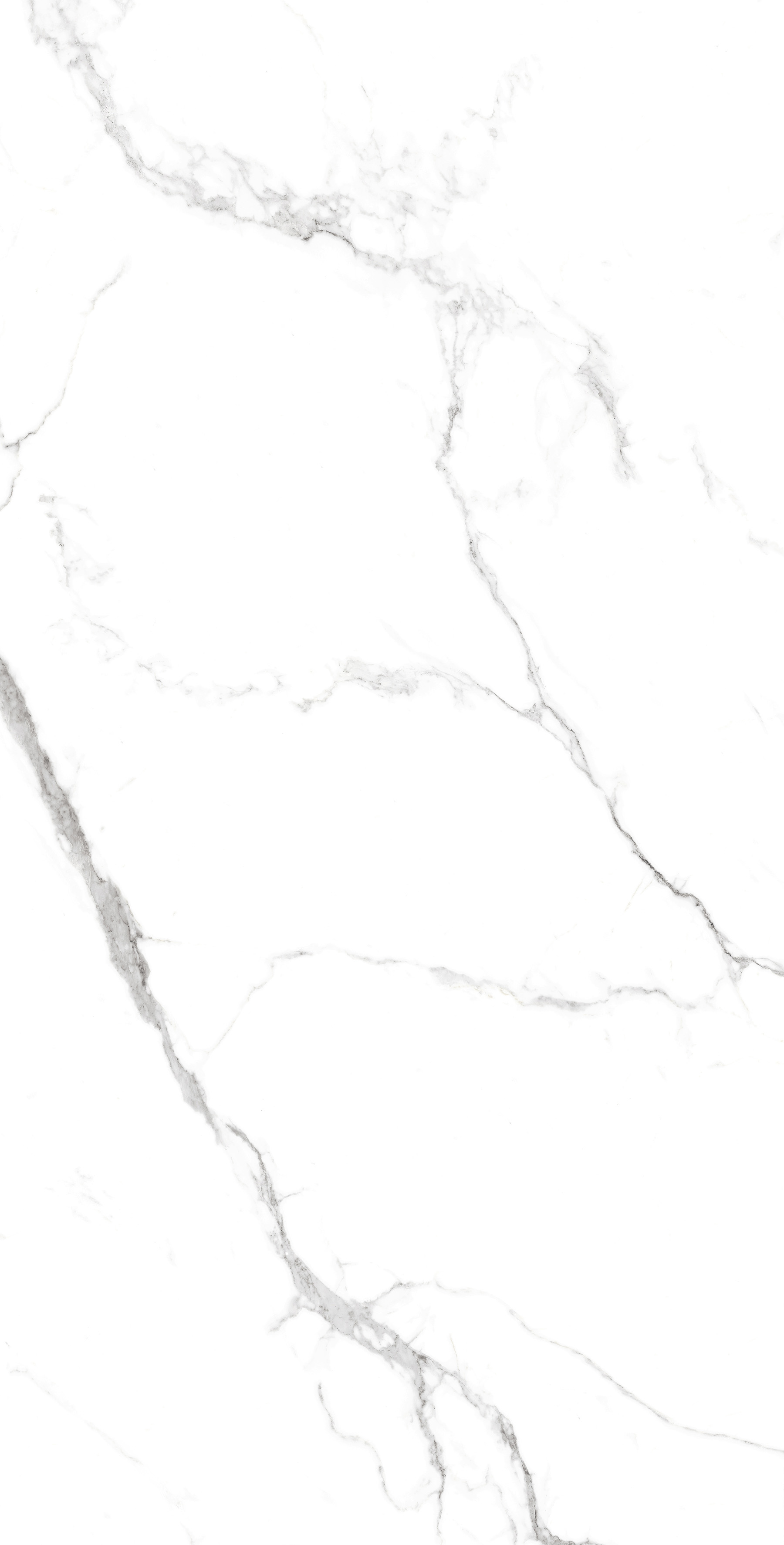 CP4005-A Statuario Fine Carving Pro 60x120 Creanza фото 2