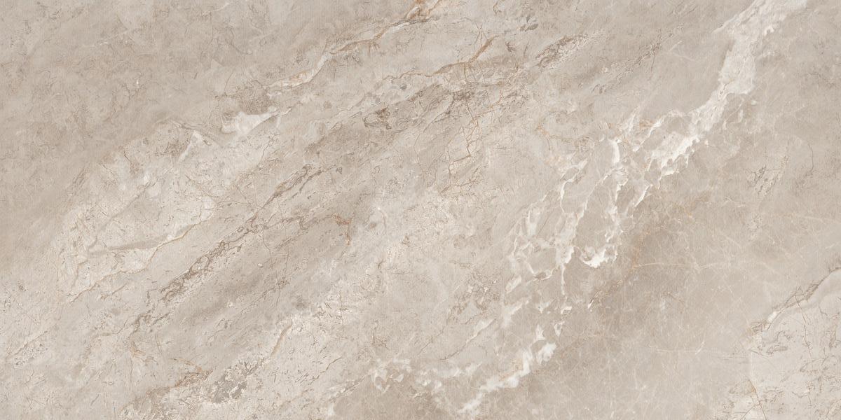 N20767 Rome Taupe Polished 60x120 Neodom фото 4