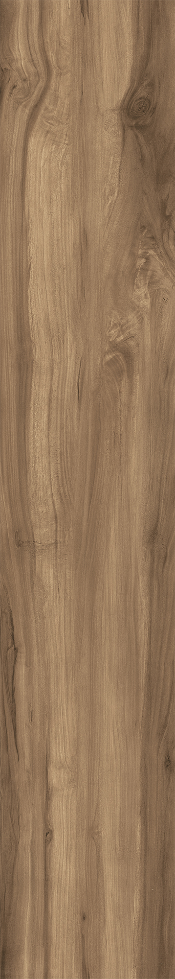 CW-RT10-B Fossil Wood Wenge Rustic 20x120 Creanza