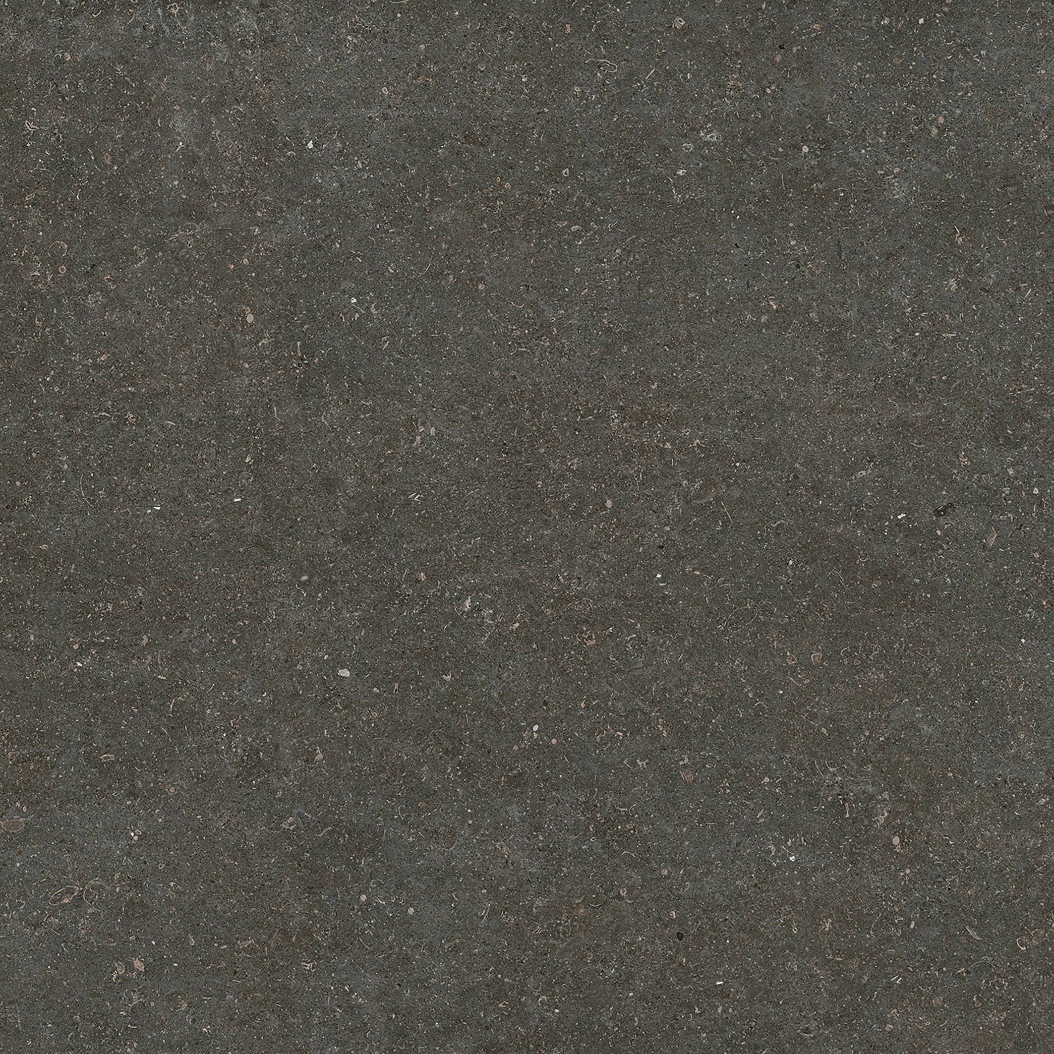 785581 Rinascenza Arena Platino Matte 6mm 120x120 Casa Dolce Casa фото 3