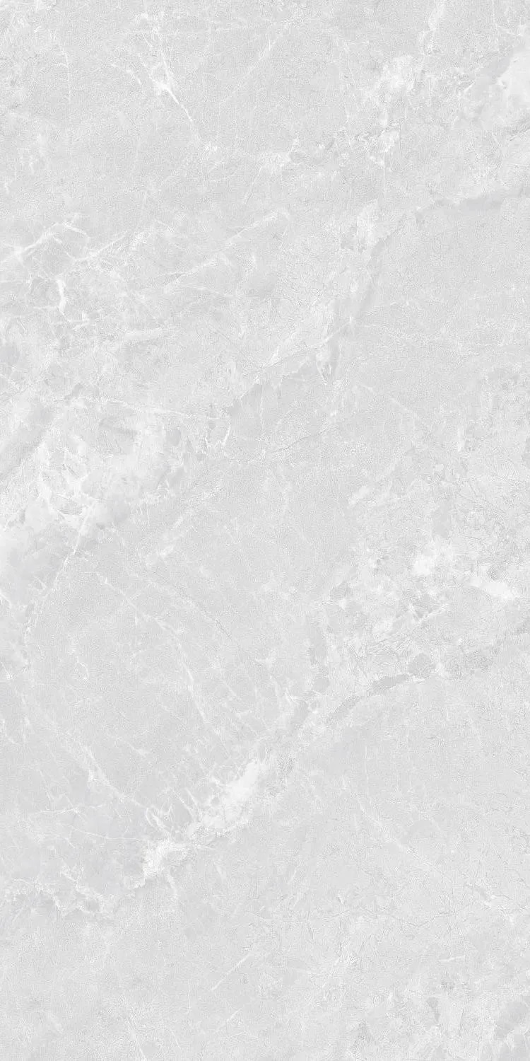 ZA-B12638 Butterfly PR 1200x600x9 Vizavi