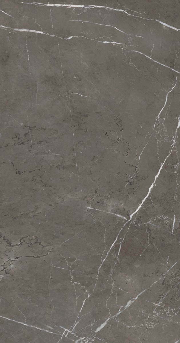 PF60006313 Stone Grey Lux R 60x120 ABK фото 6
