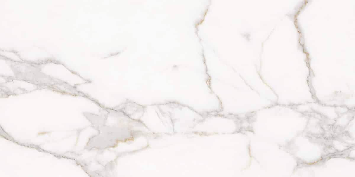 163105 CALACATTA ORO LAPP/RETT 60x120 Ava Ceramica