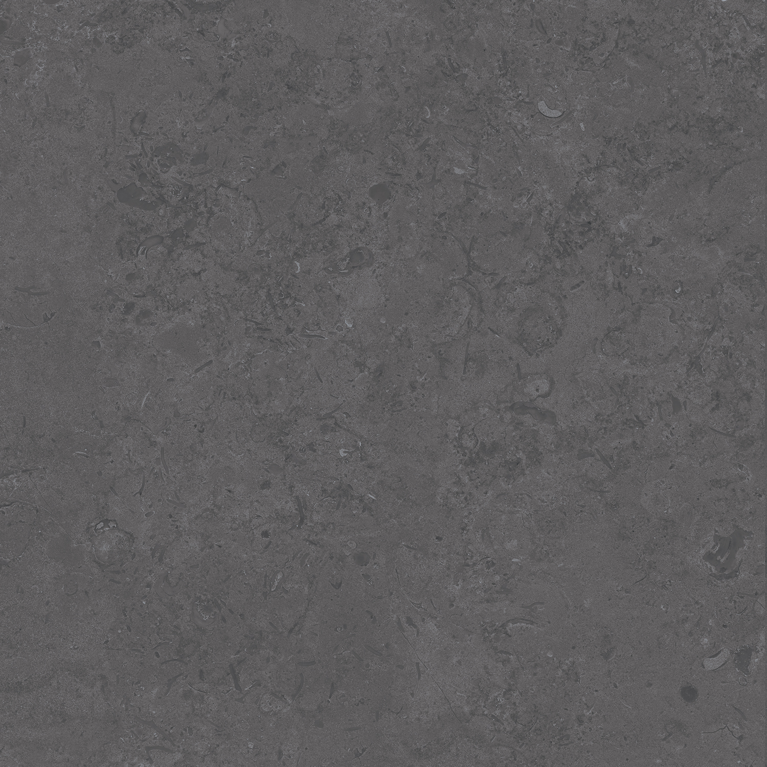 DD640800R Про Лаймстоун серый темный натуральный обрезной R10 60х60 Kerama Marazzi