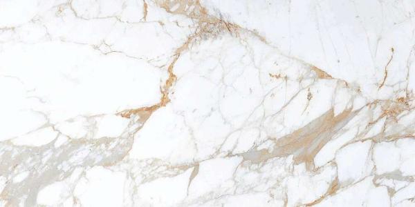 Roman Brown 600x1200 LV Granito