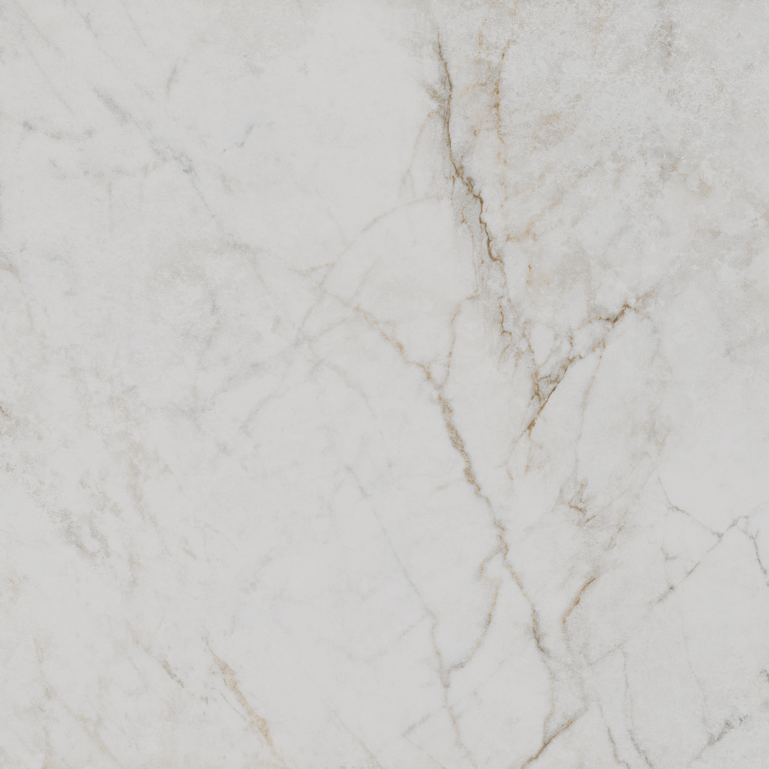 SG654022R Серенада белый лаппатированный обрезной 60x60 Kerama Marazzi фото 6
