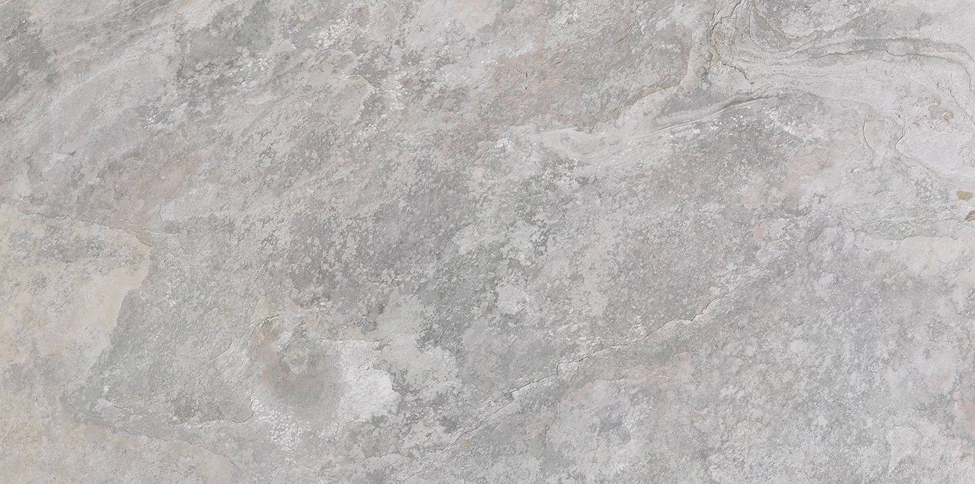 100202669 Image Silver 59.6x120 Porcelanosa
