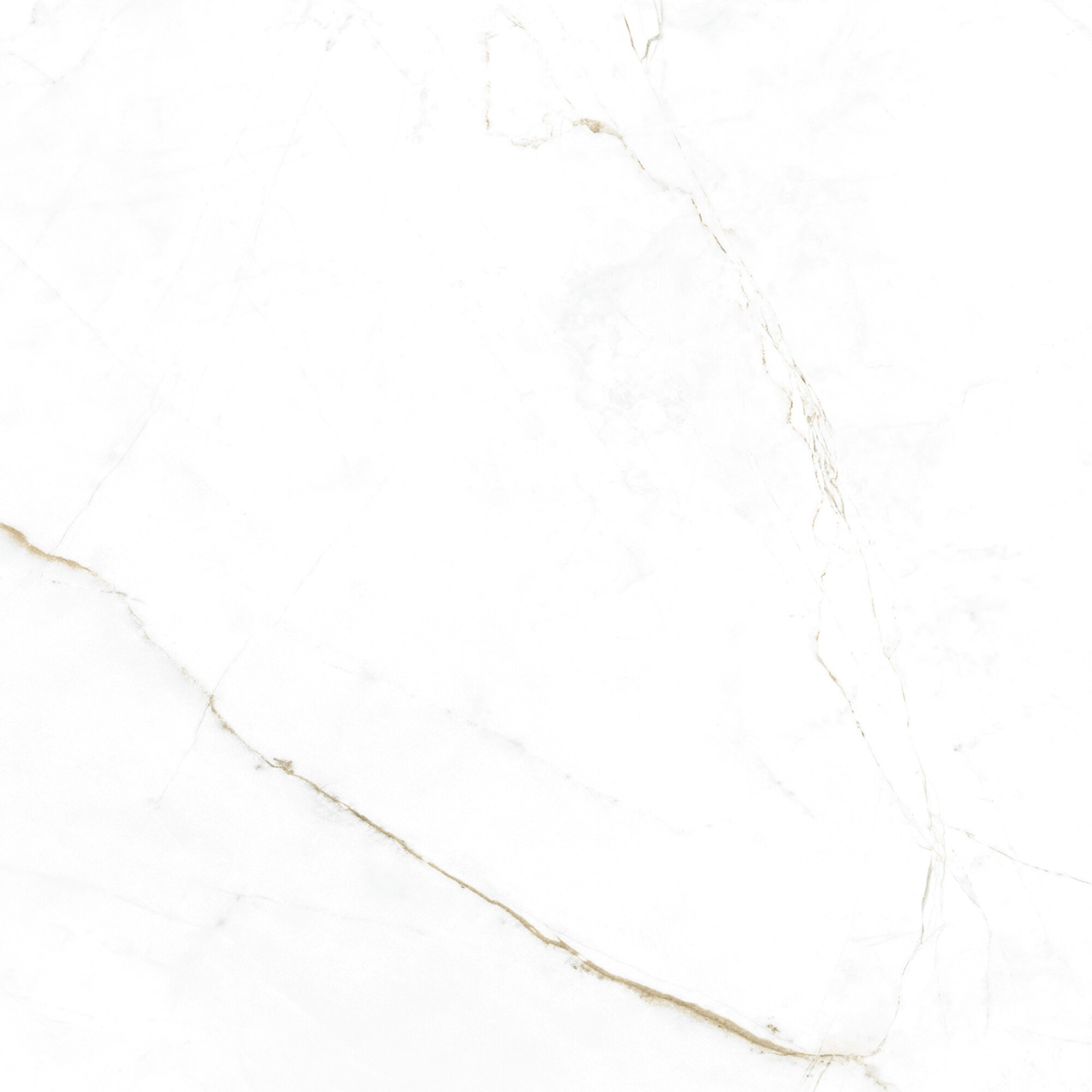 41145 Dual White SP/100x100x0,8/R 100x100 Peronda