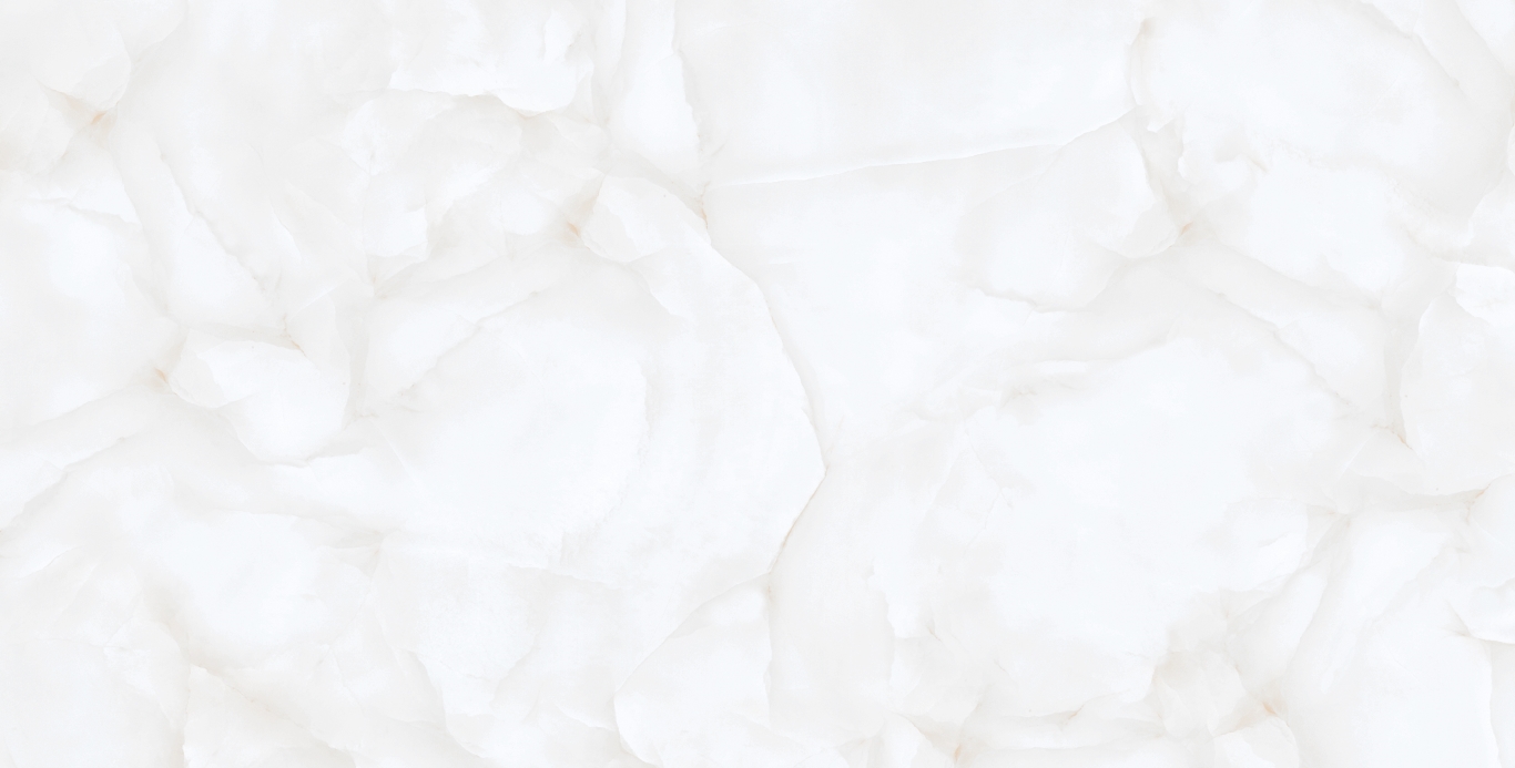 Brais White Carving 60x120 Realistik