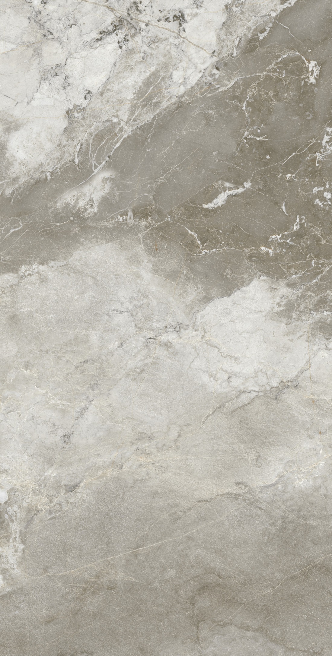 Manila Polished Golden Carving 60x120 Realistik фото 6