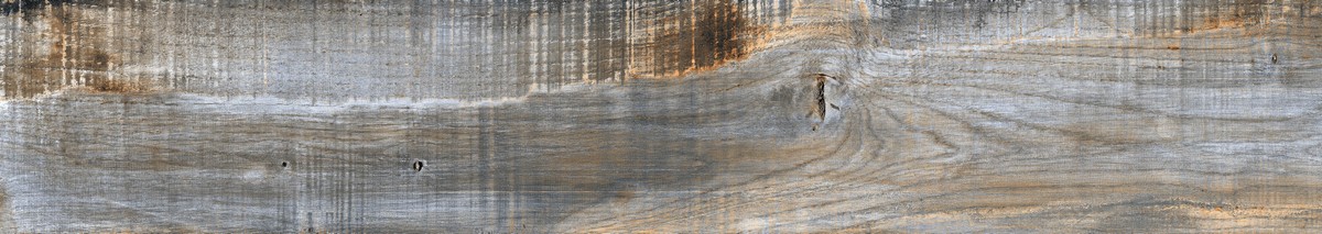 ENWD1023CR20120 Afromontane Carving 120x20x0.9 Ennface