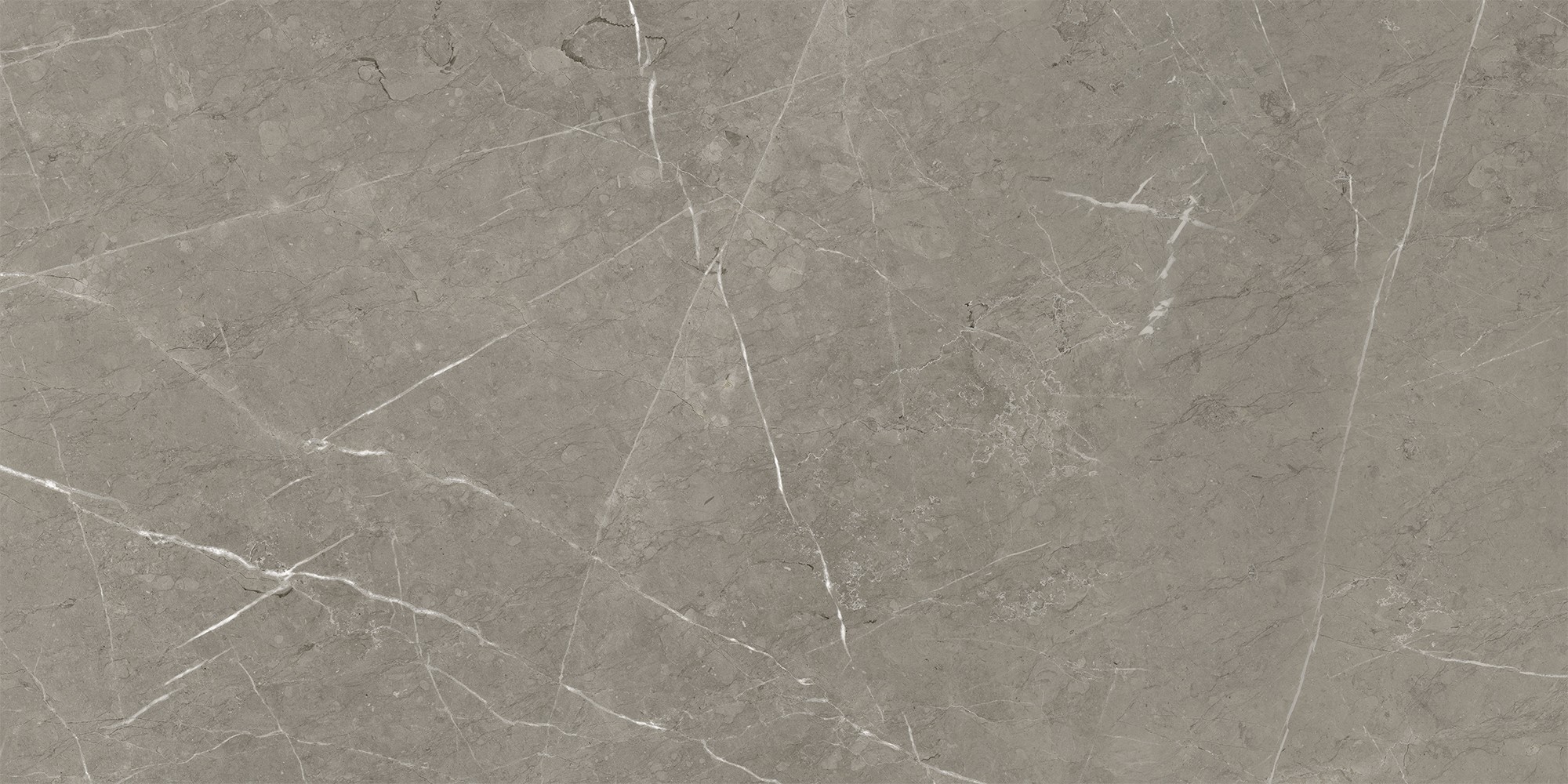 K-2202/LR Skala Grey 600x1200x10 Kerranova