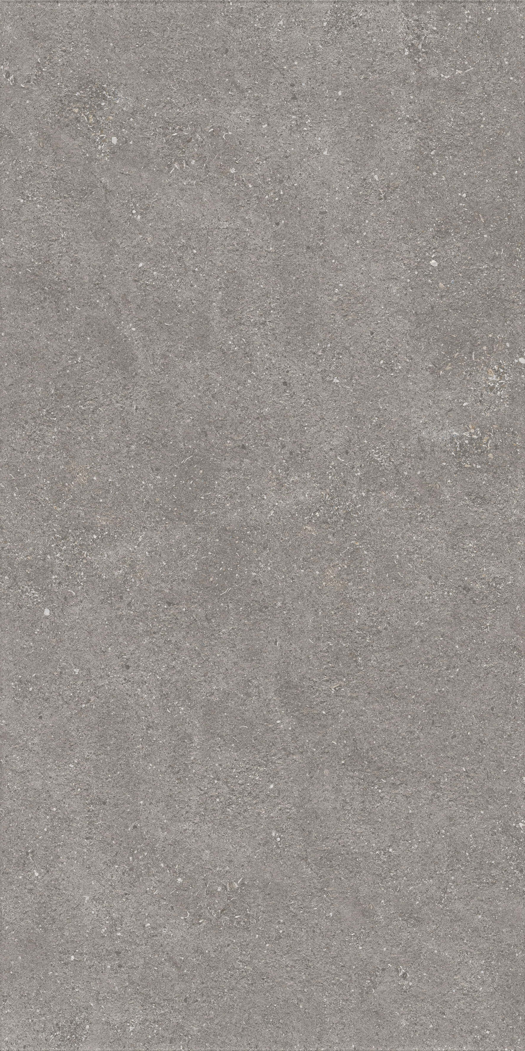 1224 Graniti Grey Matt Ghr 120x60 Artcer фото 6