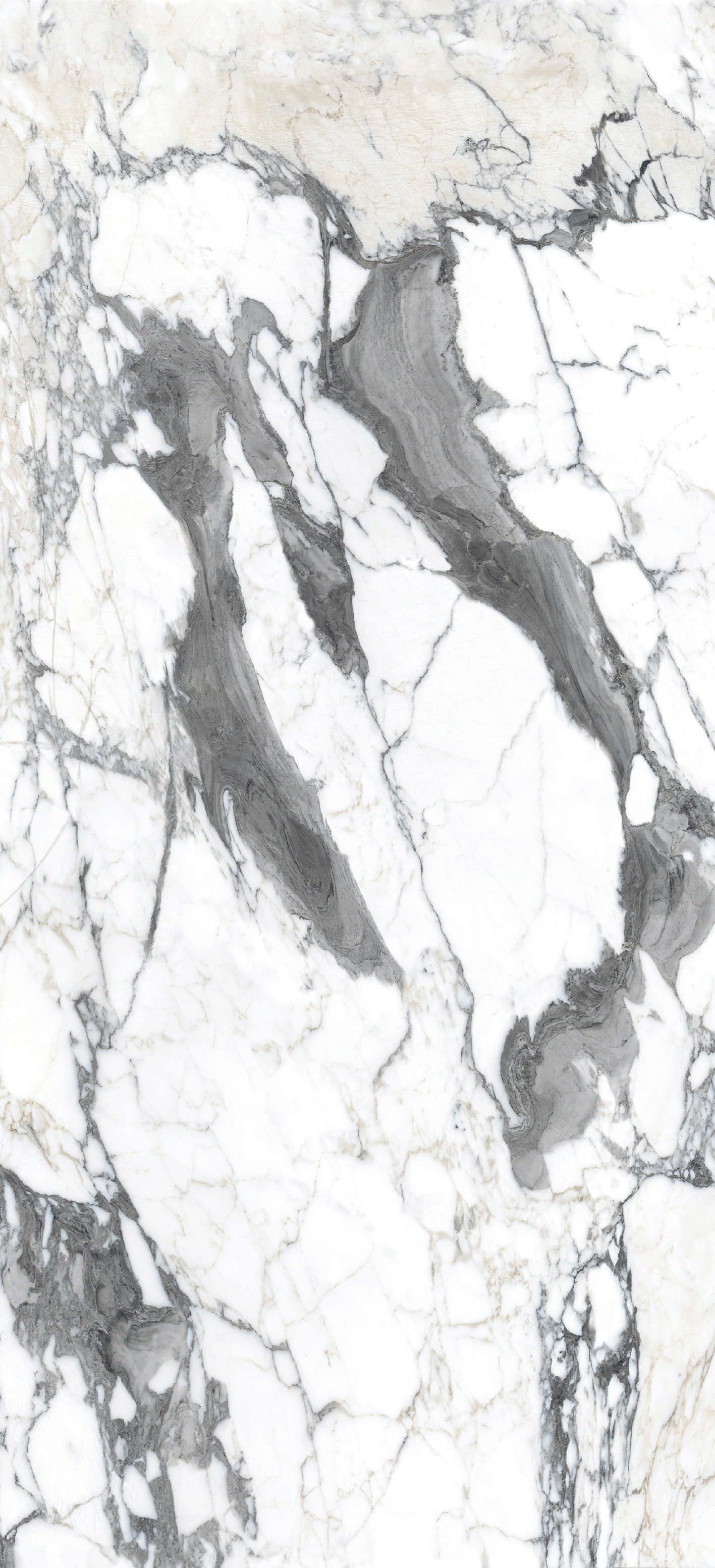 765697 Bijoux Calacatta Altissimo Glossy 6mm 120x280 Rex Ceramiche фото 4