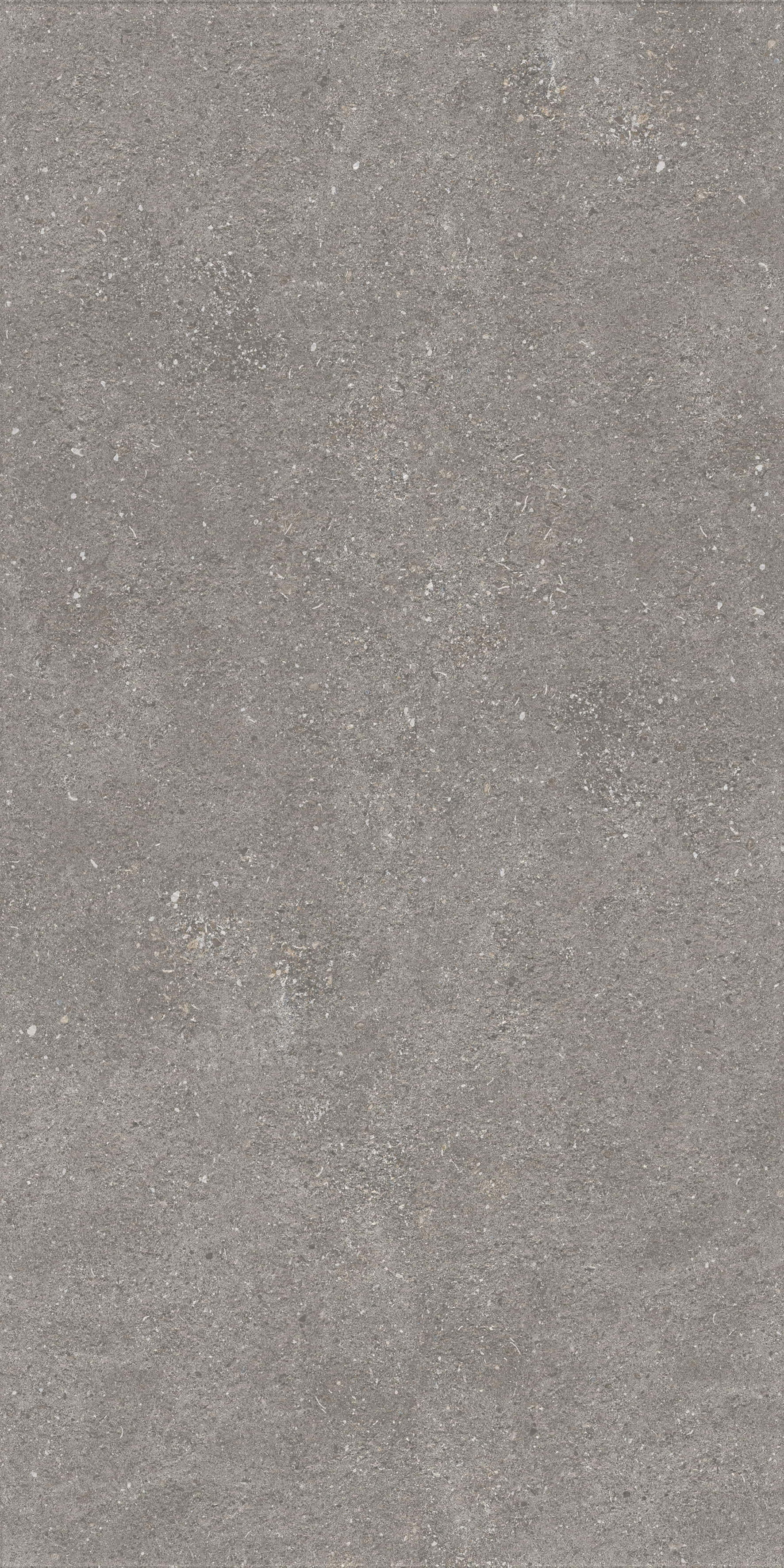 1224 Graniti Grey Matt Ghr 120x60 Artcer фото 7