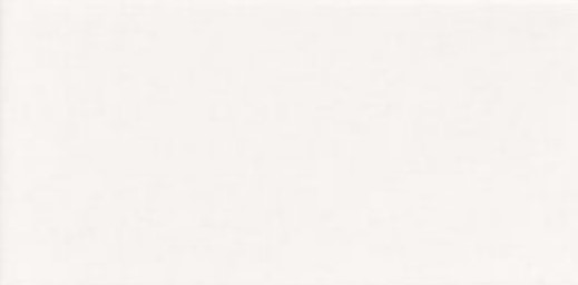 PT01946 Bissel Blanco Liso Brillo 10x20 Mainzu