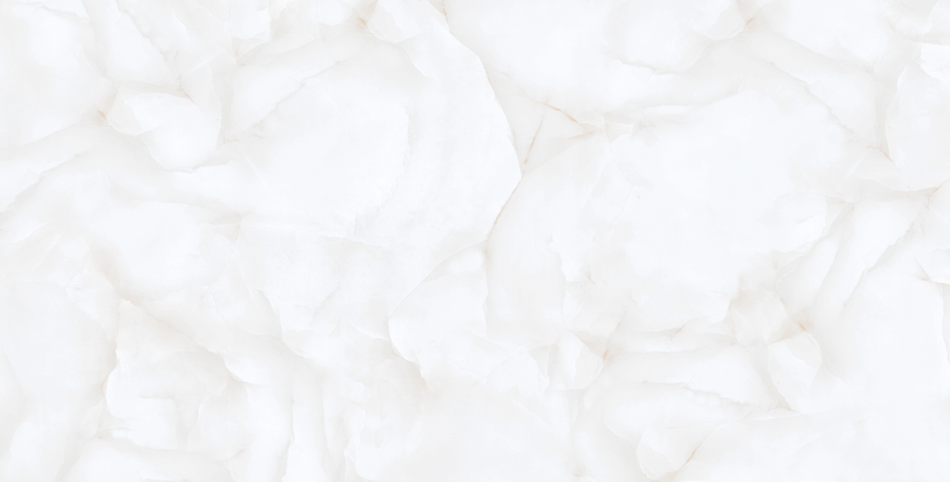 Brais White Carving 60x120 Realistik
