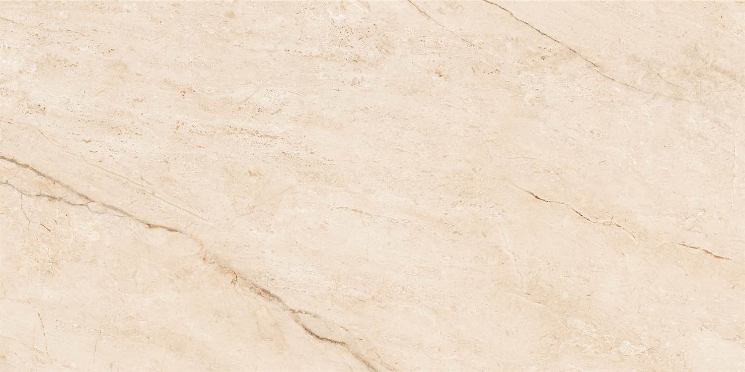 NTTHS99956D Barcelona Beige 60x120 NT Ceramic фото 2