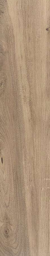 ZC 1023006 rect. 20x100 Bonaparte