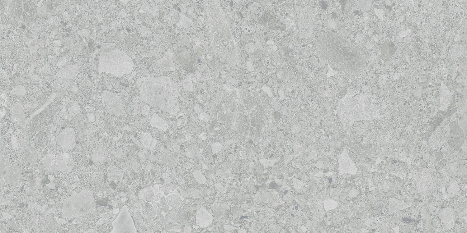 6493-0196 Иней Техно Серый 60х120 Lasselsberger