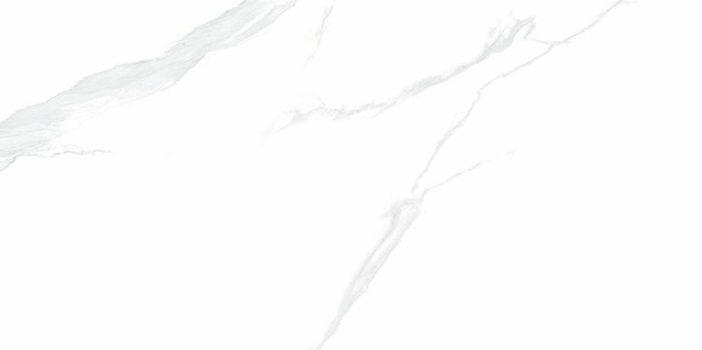 NTT9106P Statuario 60x120 NT Ceramic фото 5