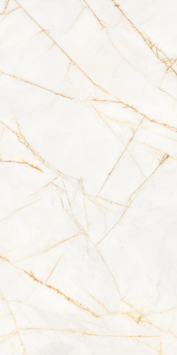 PF60017518 Supreme Hedonism Golden Spider Nat R 60x120 Flaviker