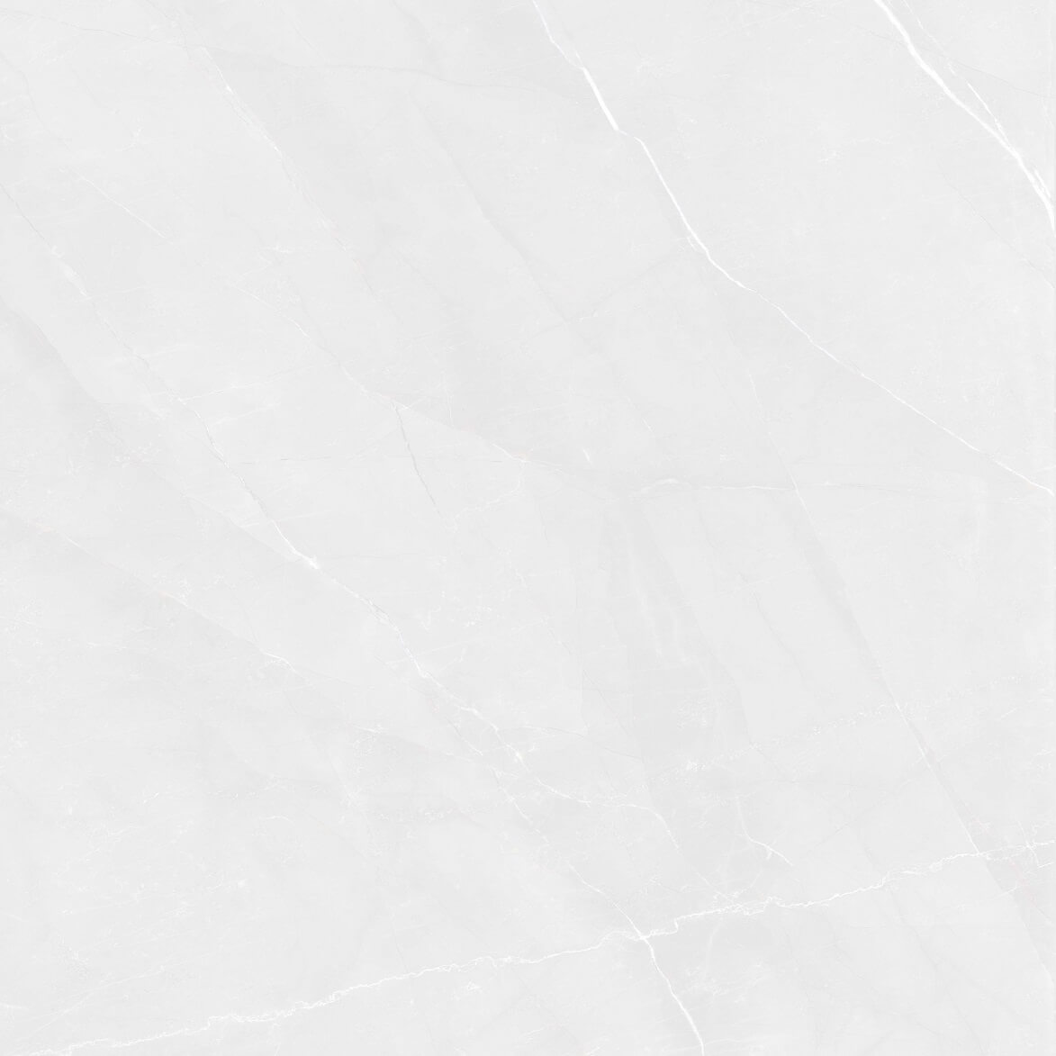 166513 Fluorite Polished 60x60 Pardis Ceramic Pazh