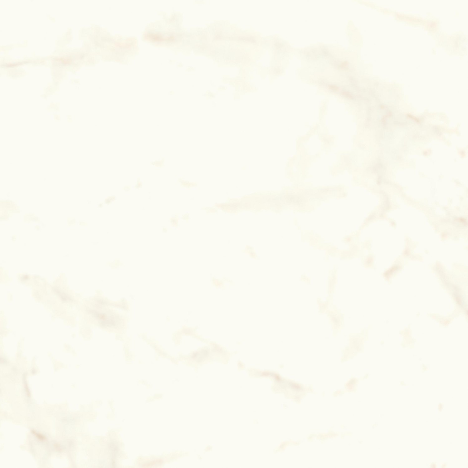 A3W1 Marvel Calacatta Delicato Silk 75x75 Atlas Concorde