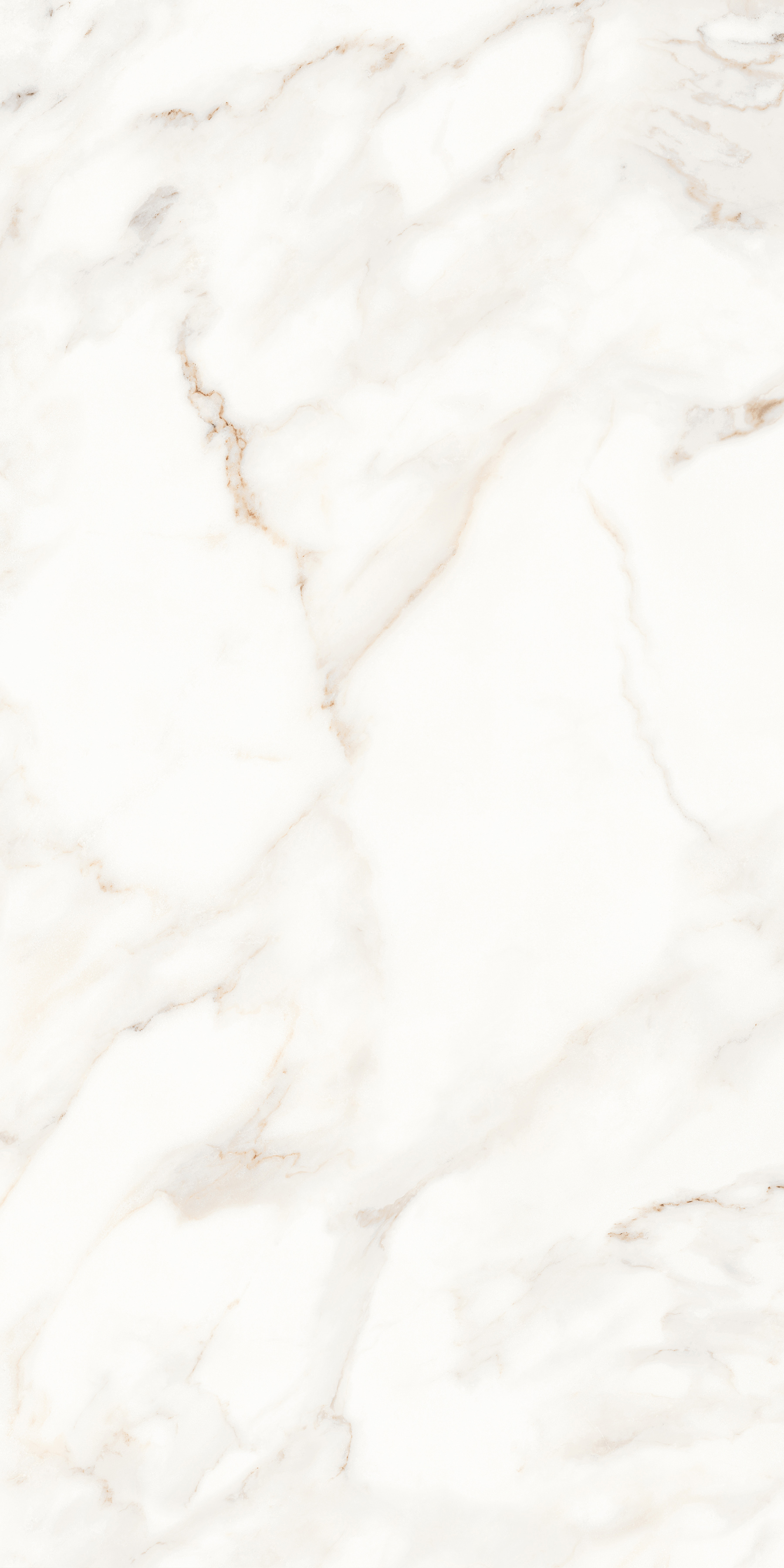 MPL-058623 Calacatta Polished 60x120 Creto