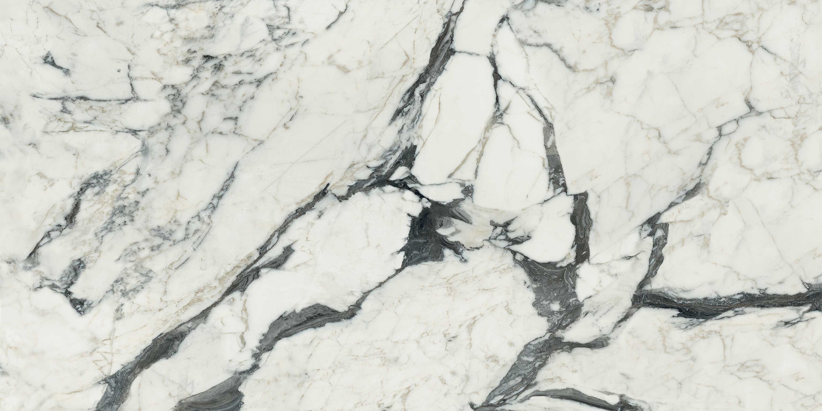 766329 Les Bijoux Calacatta Altissimo Blanc Matte 60x120 Rex Ceramiche