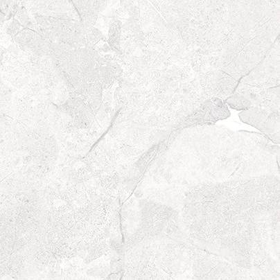 TP66M09 Фавор матовый 60x60 PrimaVera