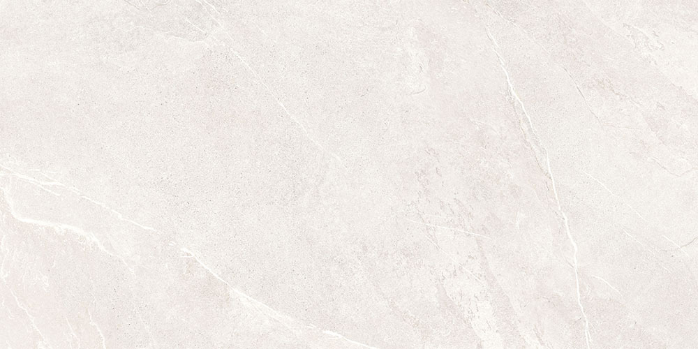ArdeStone Белый Матовый R10A Ректификат 9мм 60х120 Vitra