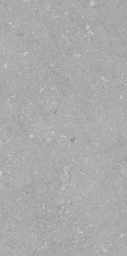 005485 Shellstone Grigio 60x120 Dado Ceramica