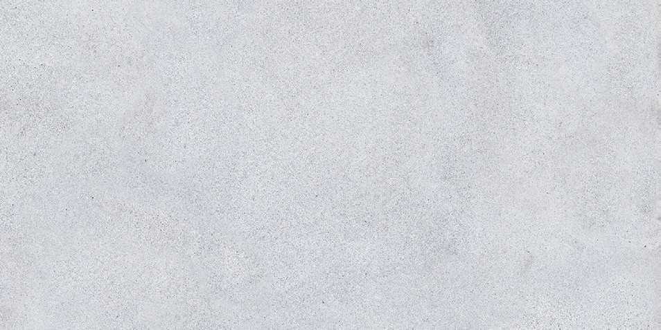 NR207 Maderas Light Grey 60x120 PrimaVera