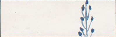 M96T Rice Bianco dec Leaf Lux 5x15 MARAZZI Italy